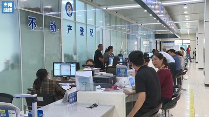 V视 | 市不动产登记中心 建立完善预审窗口 提供一流服务 信息服务业务
